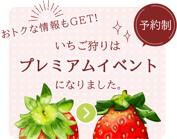 いちご狩りはプレミアムイベントになりました。