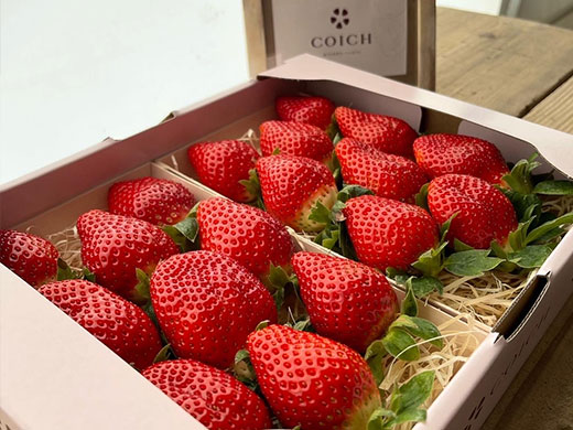 最高糖度22度 こだわりのいちご