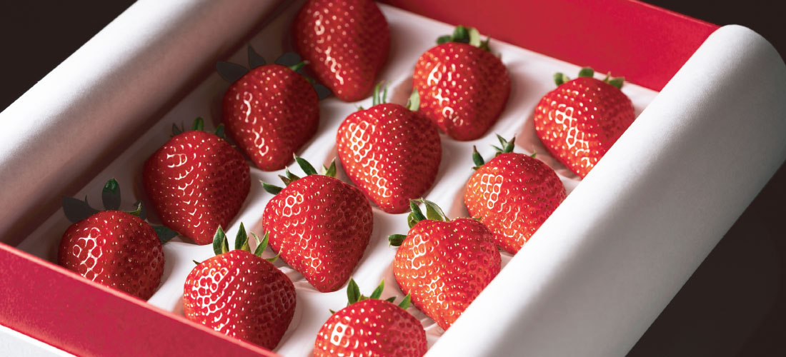 ひなたいちご農園　農園紹介