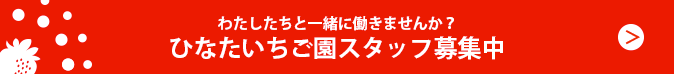 ひなたいちご園スタッフ募集中