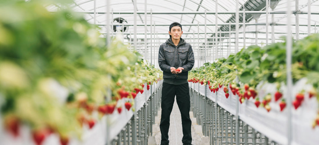 ひなたいちご農園　農園紹介